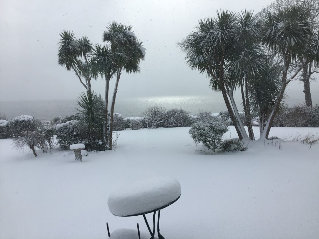 Ferry Point Snow